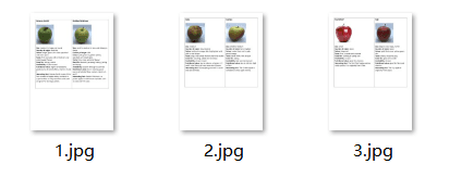 image-Word转JPG图片,批量转换Word页面,docx转jpg,doc转图片,Word指定页面导出图片