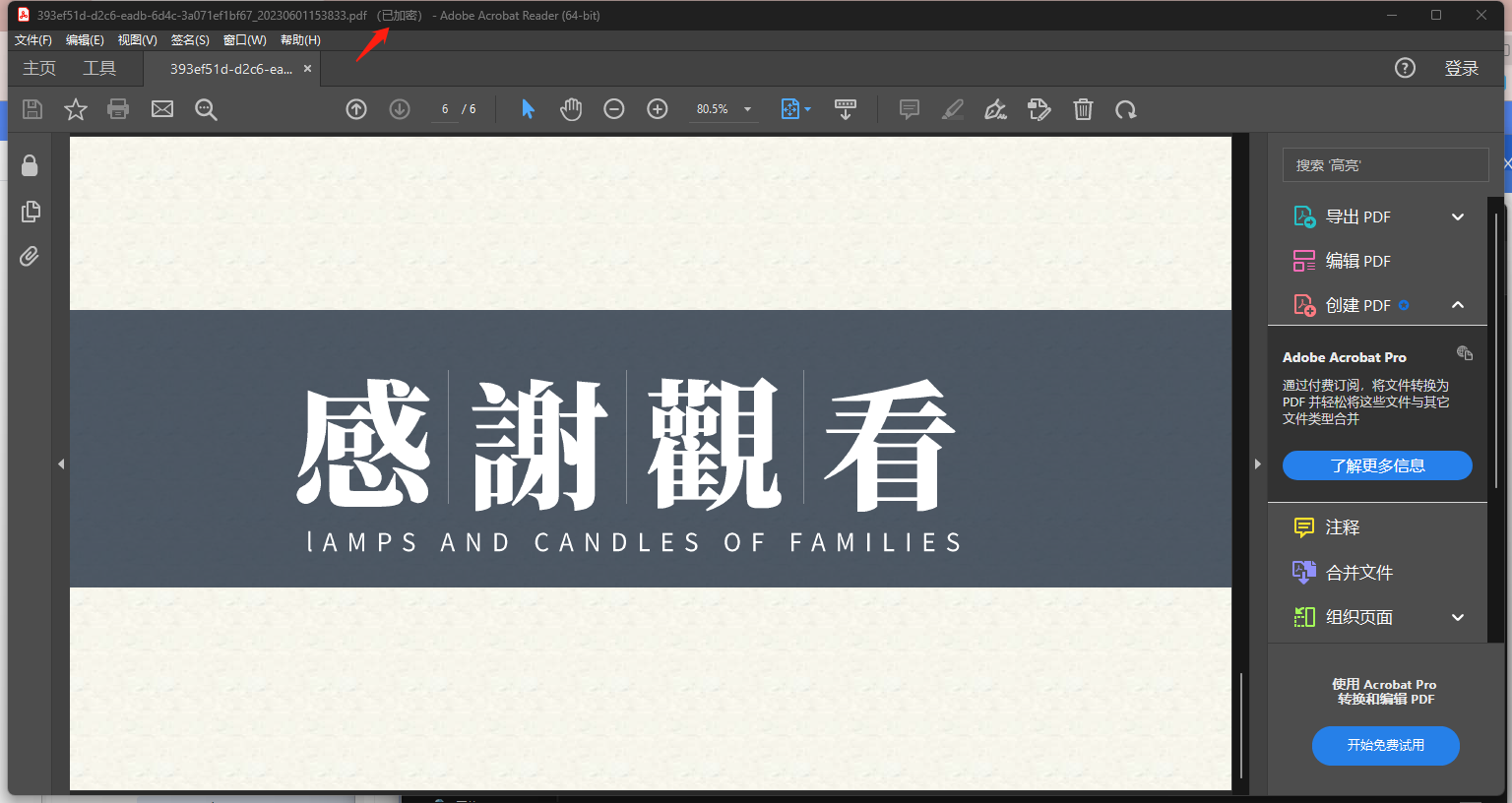 image-批量為多個 PDF 文檔添加只讀密碼,對文件進行保護
